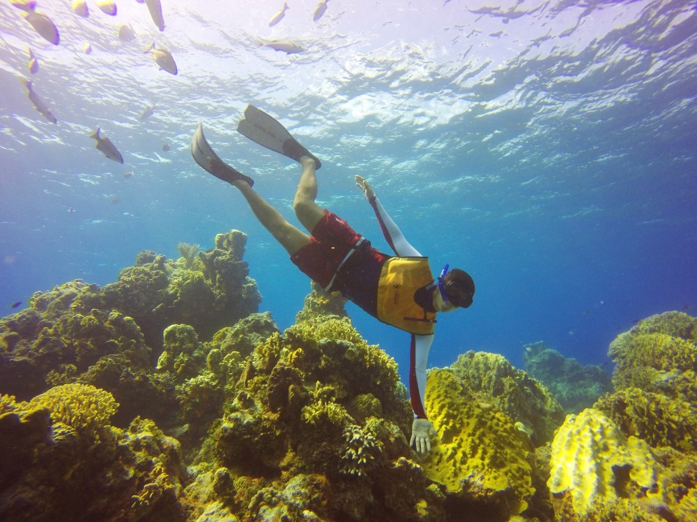 cozumel snorkeling 2 reefs tour