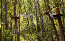 Kohala Zipline10