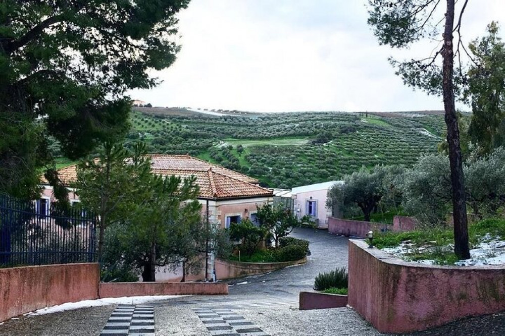 Private Olive Oil Tasting Tour At a Family Owned Organic Olive Mill