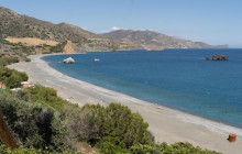 Localtrips4u11