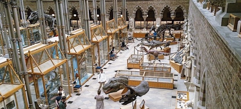 Natural History Museum of London Guided Tour - Semi-Private