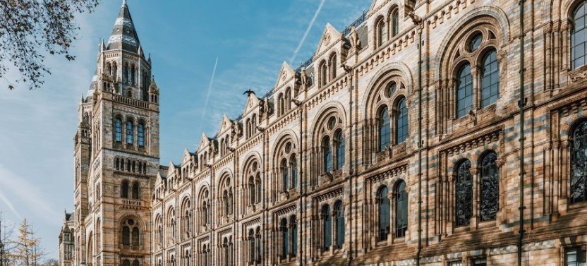 Natural History Museum of London Guided Tour - Semi-Private