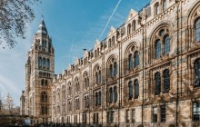 Natural History Museum of London Guided Tour - Semi-Private