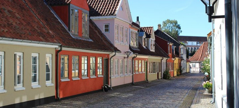 Odense Private Walking Tour