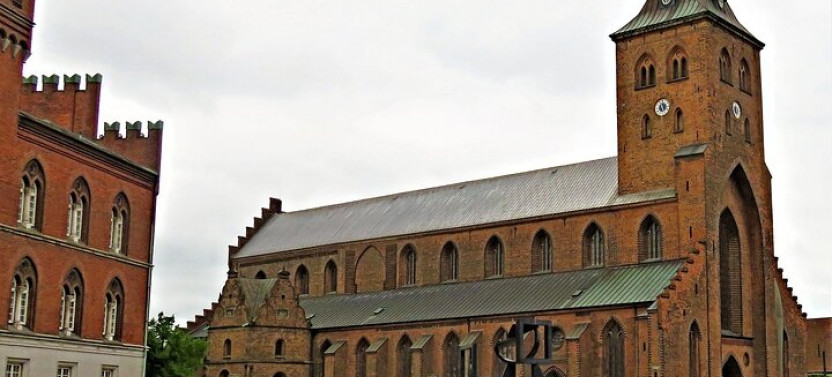 Odense Private Walking Tour