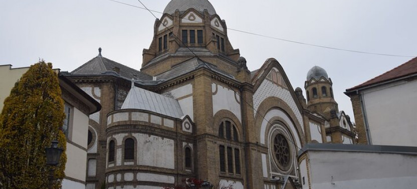 Novi Sad Private Walking Tour with a Professional Guide
