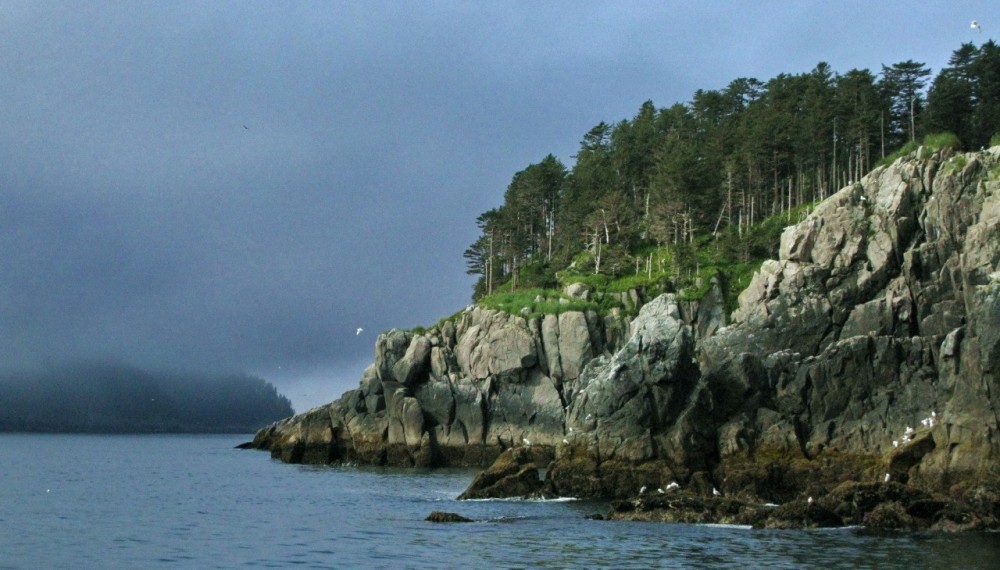 Kenai Fjords National Park