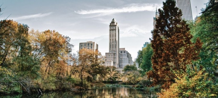 Combo: Central Park & Metropolitan Semi-Private Guided Tour