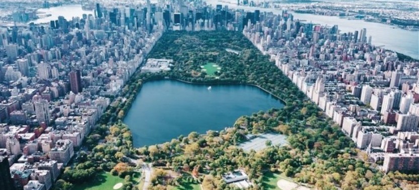 Combo: Central Park & Metropolitan Private Tour