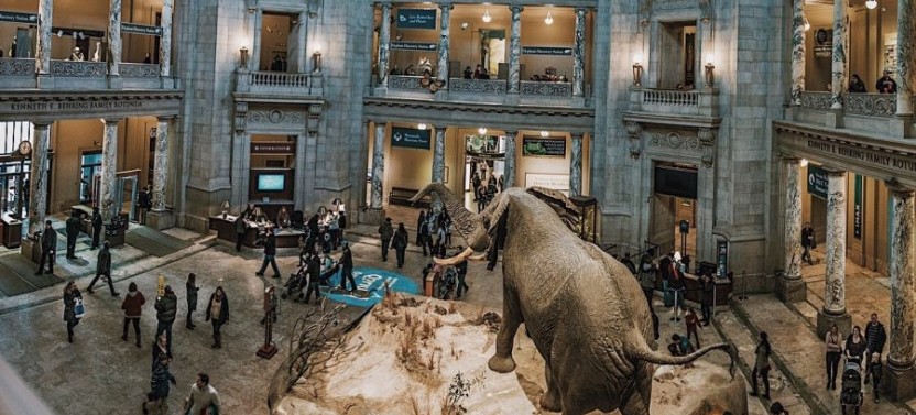 Smithsonian Natural History Museum Semi-Private Tour