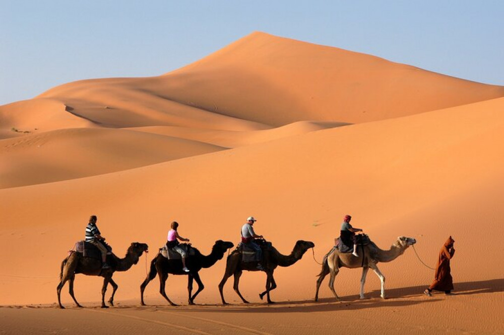 Camel Trekking In Abu Dhabi with Shared Transfer, Fun & More from Abu Dhabi