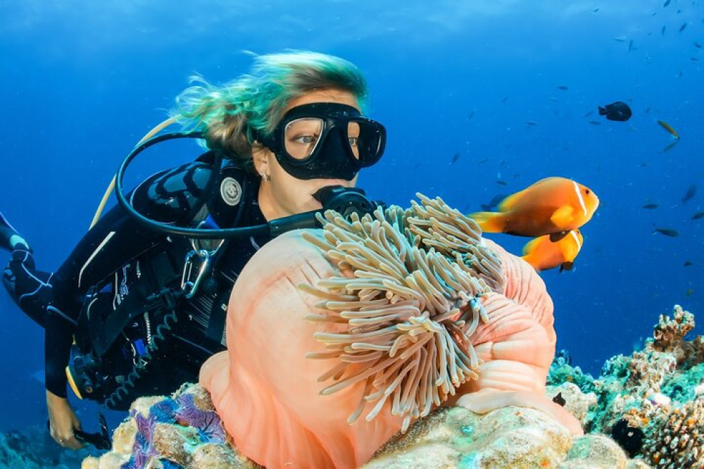 Discover Scuba Diving Adventure in Dubai