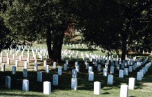 Arlington National Cemetery Small Group Tour
