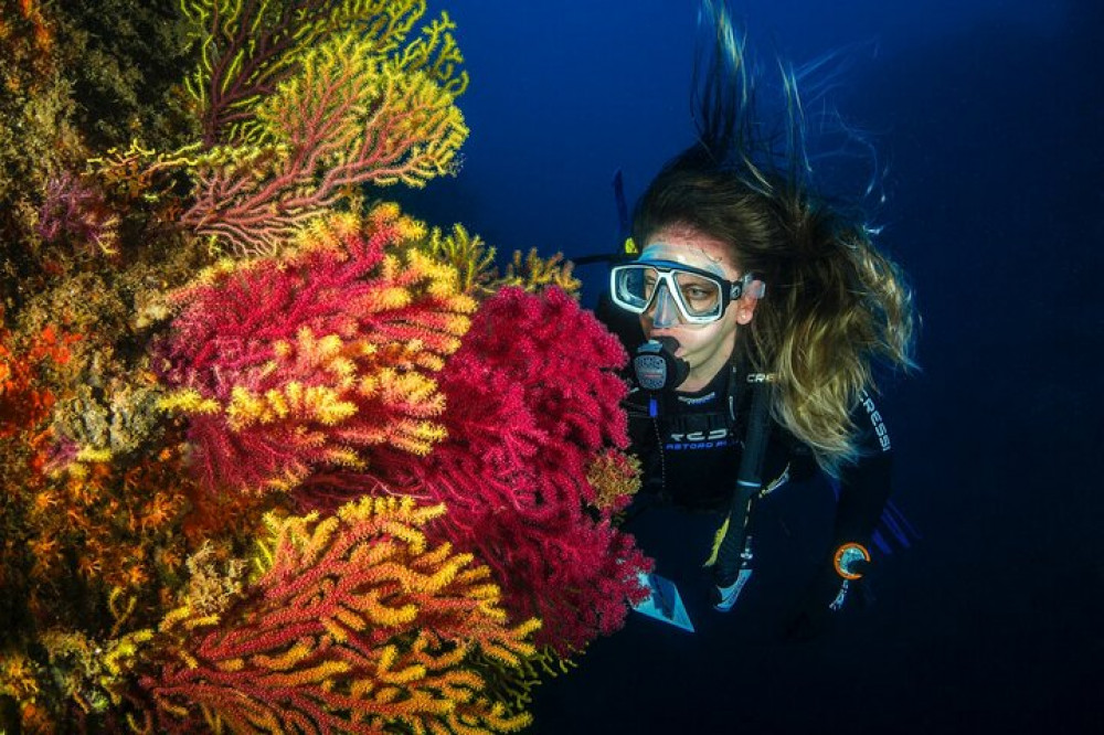 Discover Scuba Diving Adventure in Dubai with Private Transfer