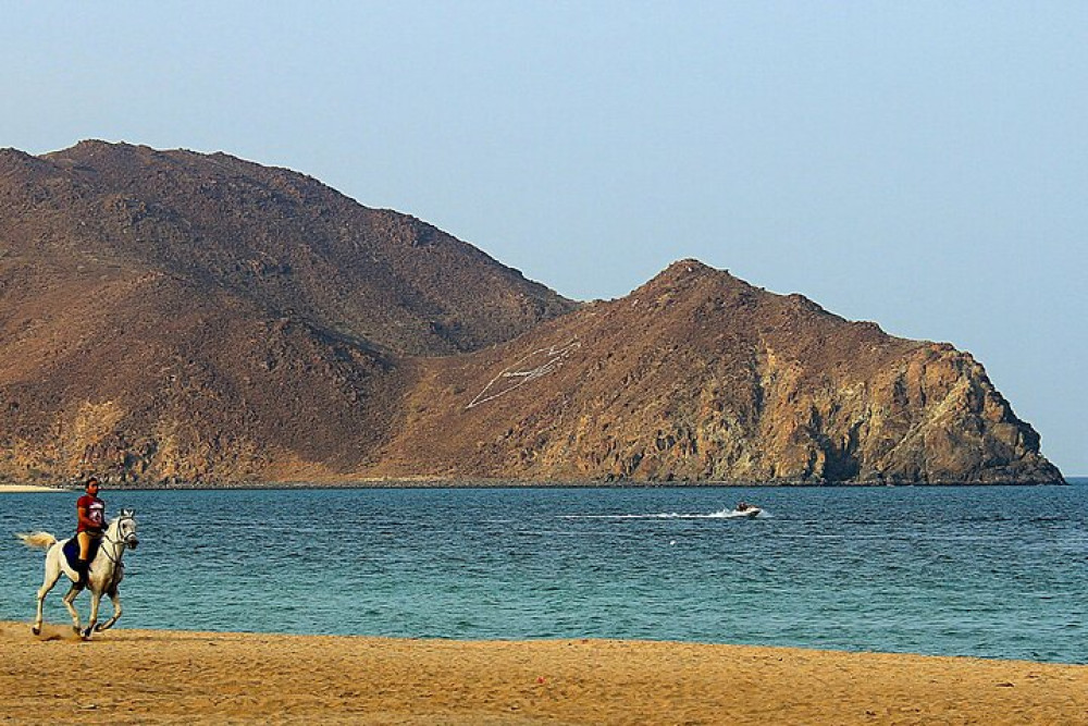 Khorfakkan Tour - From Dubai - Dubai | Project Expedition