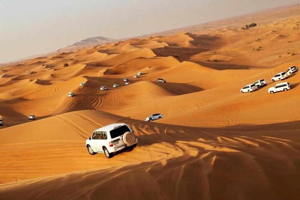 Morning Desert Safari in the Dubai Desert