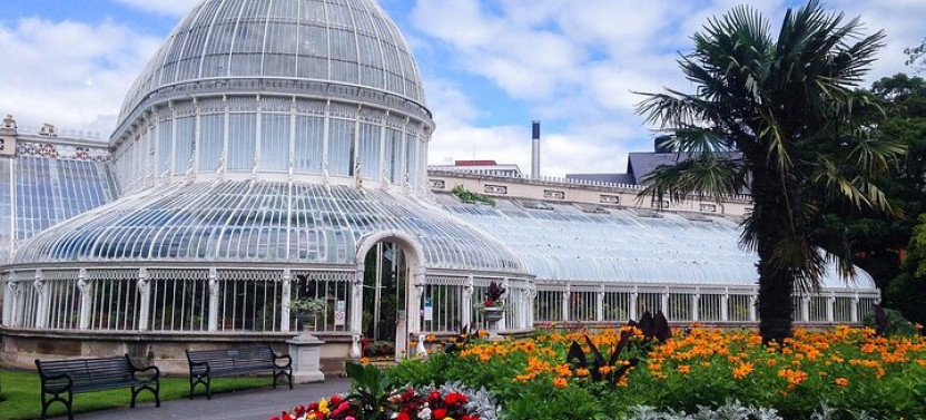 Belfast Private Walking Tour With A Professional Guide