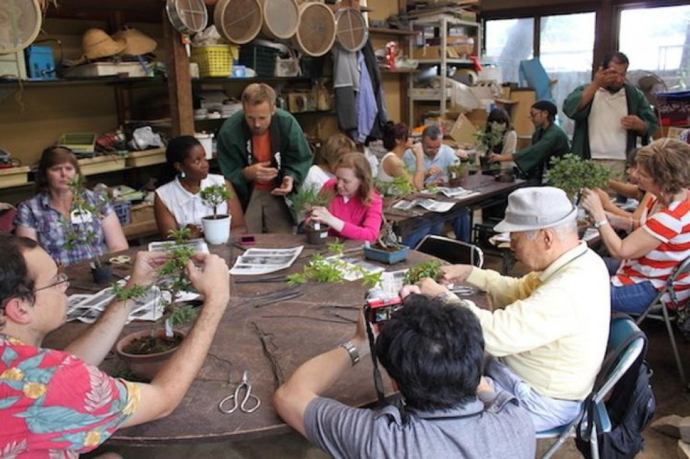 Make Your Own BONSAI with a Professional Artist in Tokyo