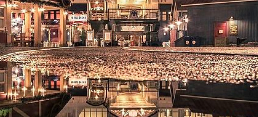Disneyland or Disneysea 1-Day Ticket and Morning Ride from Tokyo Hotels