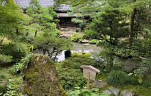 Beauty of Japan3