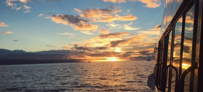 Sunset Cocktail & Whale Watch Sail
