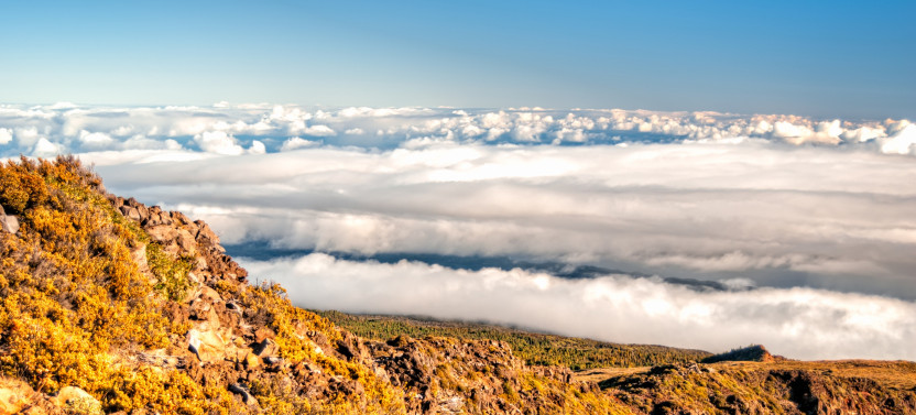 Maui Volcano Quest