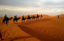 Morning Desert Safari with 4x4 Dune Bashing, Camel Ride and Sandboarding