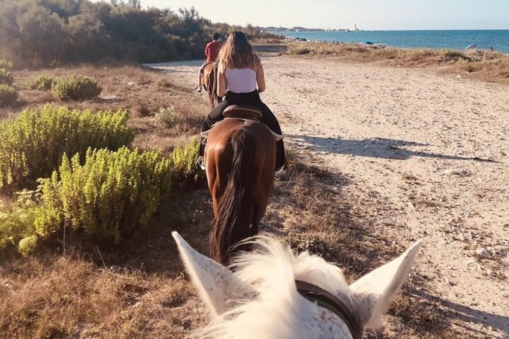 Horse Ride in a Salento Nature Reserve with Transfer from Lecce