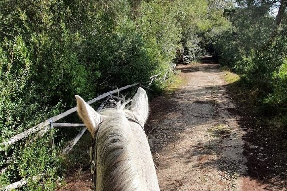 Salento Experience