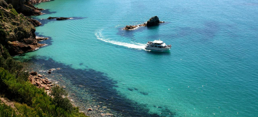 Cape Woolamai Coastal Wildlife Cruise