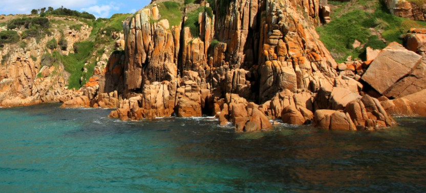 Cape Woolamai Coastal Wildlife Cruise