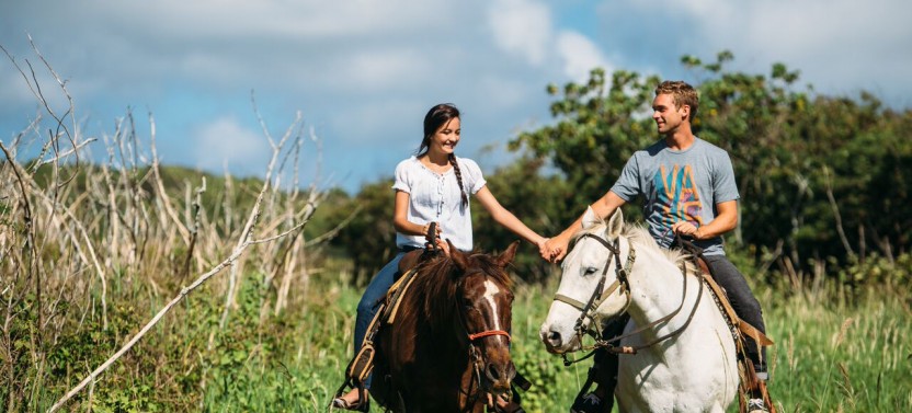 1 Hour Scenic Horse Back Experience
