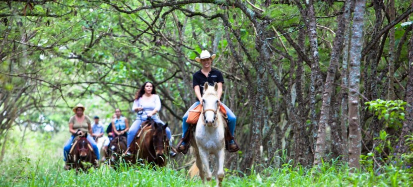 Private Advanced Trail Horseback Ride