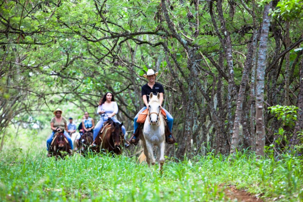 Private Advanced Trail Horseback Ride - Kahuku | Project Expedition