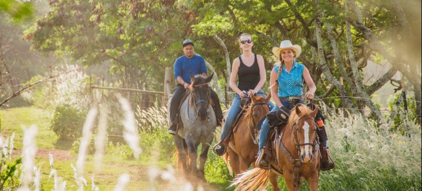 Private Advanced Trail Horseback Ride