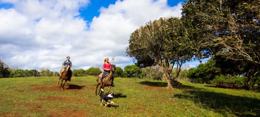 Private Sunset Horseback Ride + Dinner