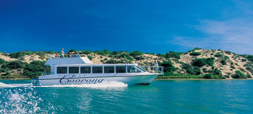 Half-Day Coorong Experience