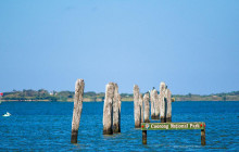 Spirit of the Coorong18