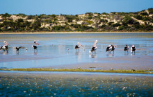 Spirit of the Coorong19