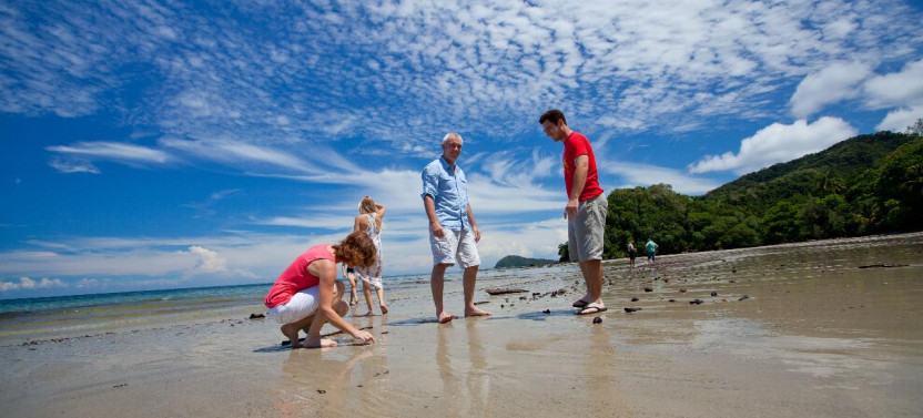 Cape Tribulation, Daintree & Mossman Gorge (Includes Lunch)