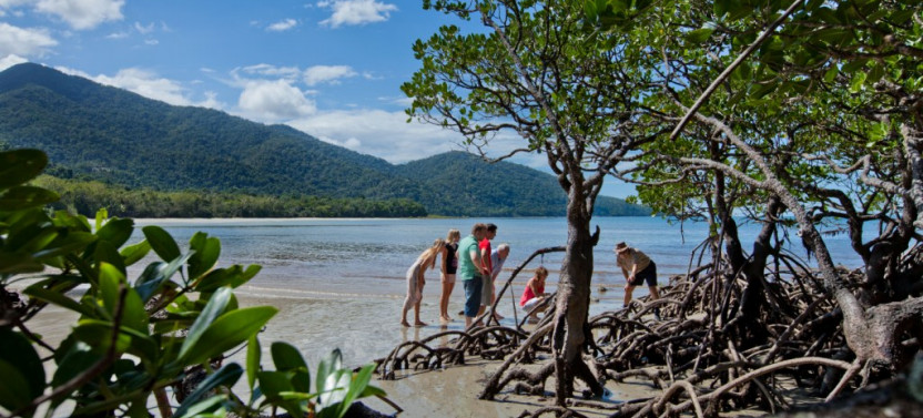 Cape Tribulation, Daintree & Mossman Gorge (Includes Lunch)