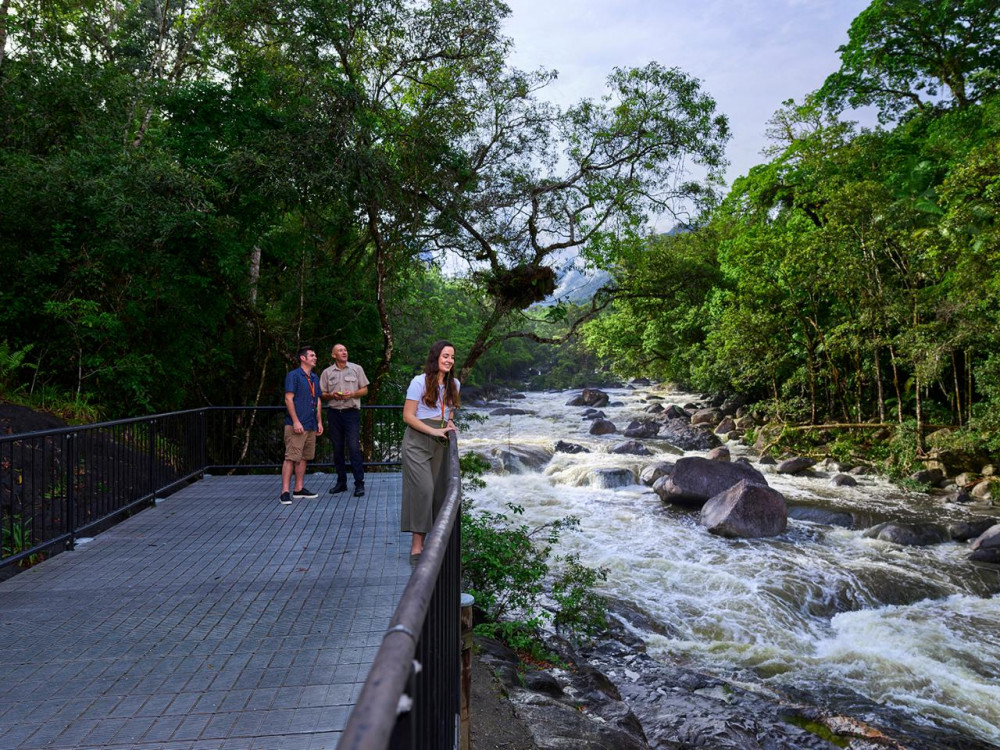 Daintree Dreaming - Aboriginal Art and Culture