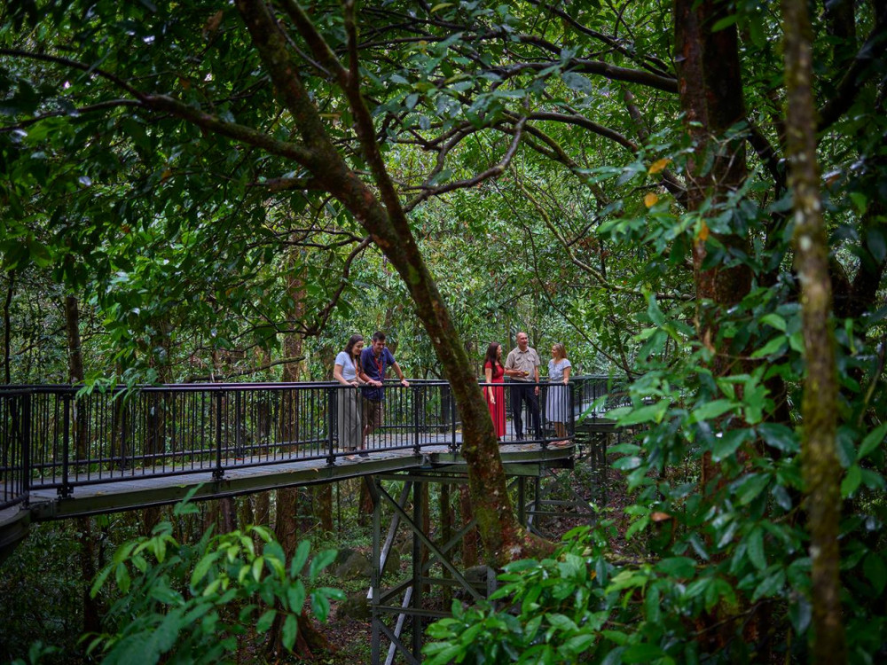 Daintree Dreaming - Traditional Aboriginal Fishing inc. Ngadiku Dreamtime