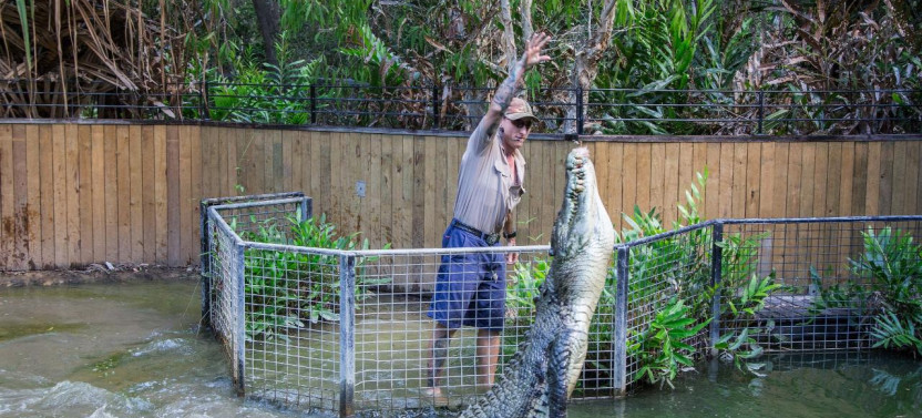 Hartley's Crocodile Adventures (Half day)