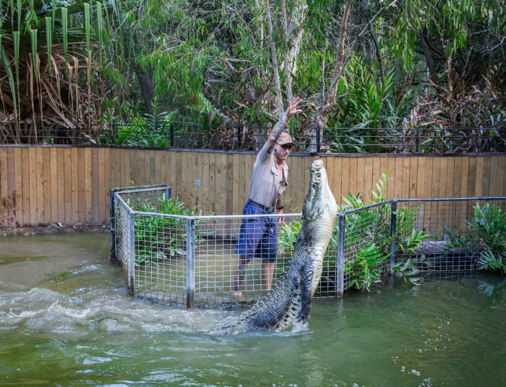 Hartley's Crocodile Adventures (Half Day) from Port Douglas