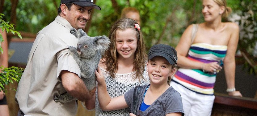Kuranda: Scenic Rail, Skyrail & Hartley's Crocodile Adventures