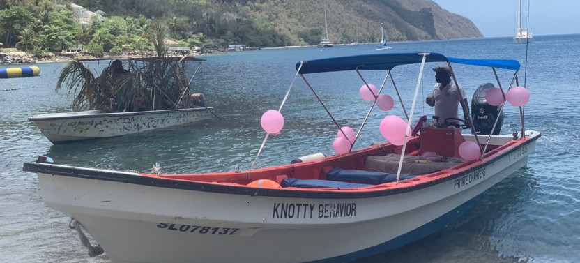 Private Half-Day Tour to Soufriere (Snorkeling/Sightseeing)