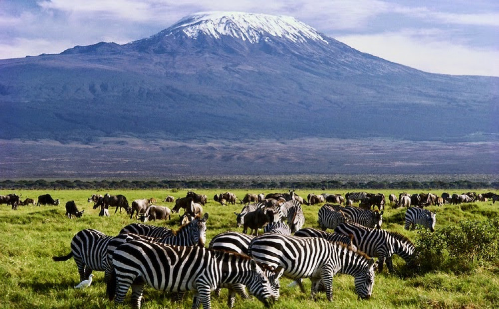 18 Days Through Kenya, Uganda, Rwanda and Burundi Safari