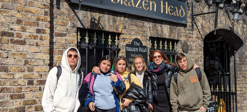 Old Dublin Tour - Small Group or Private Option