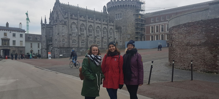 Old Dublin Tour - Small Group or Private Option
